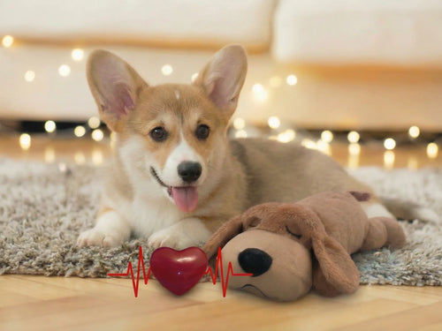Dog Anxiety Companion, Heartbeat Dog Plush Toy, Anxiety Relief & Calming Tool, Calming Dog Toy, Crate Training Essential, Behavior Training &Sleep Aid, Cuddle Companion, Puppy Toy, Interactive Pettoys, Dog Products, Durable Chew, Dog Toys